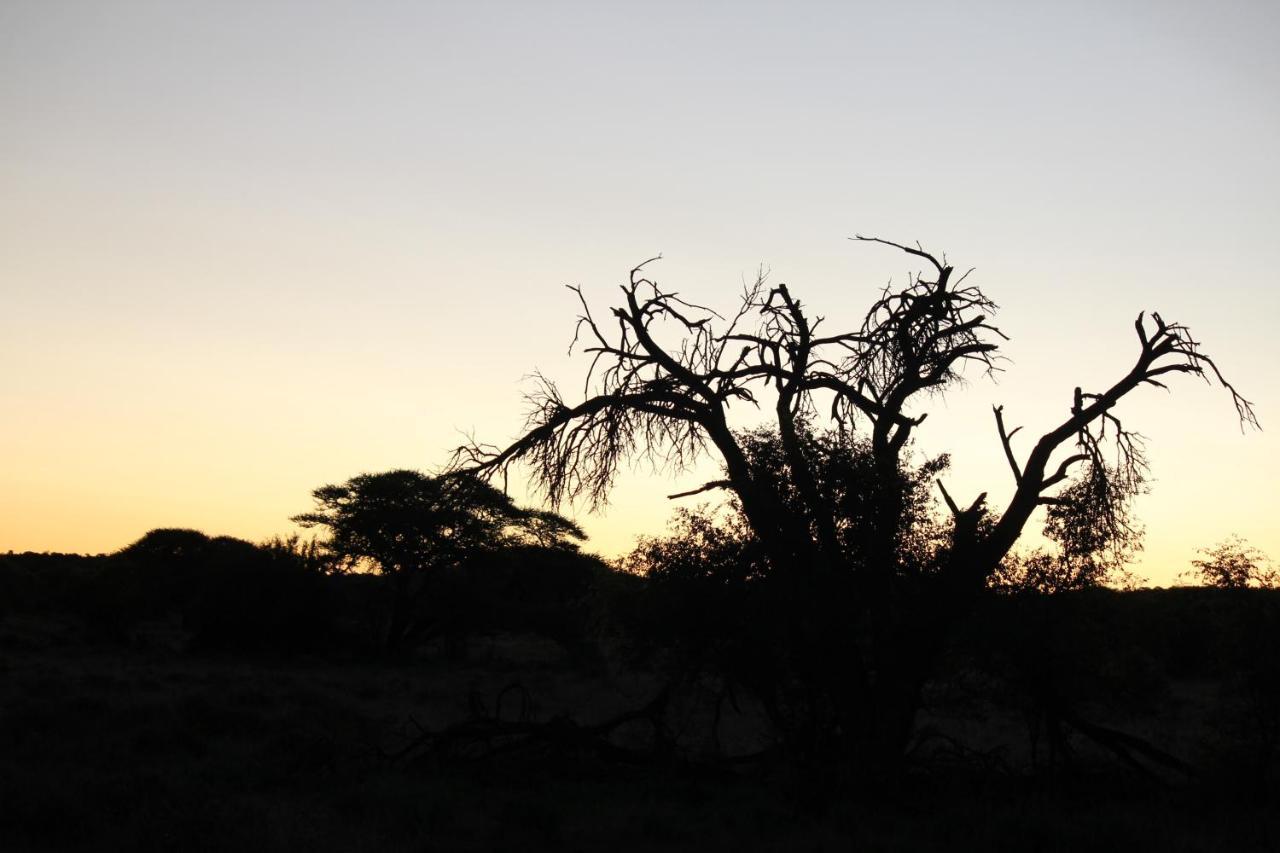 Wag N Bietjie Bush Lodge Heuningneskloof Exteriör bild